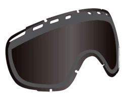Dragon Ecran Rogue LumaLens Polarized