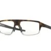Oakley Cogswell Sepia Brown Tort